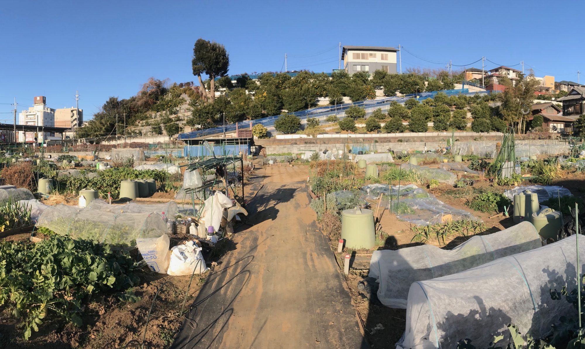 スローライフは市民農園で